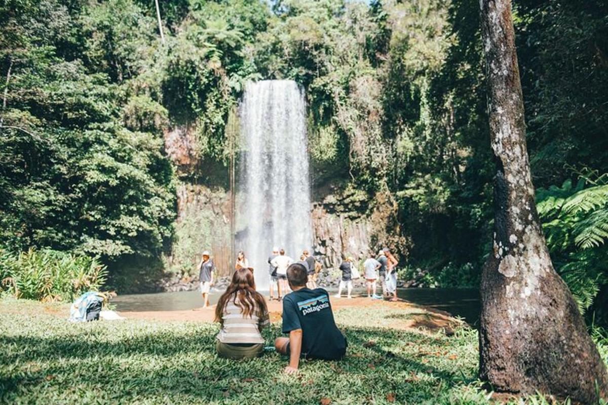 a group of people sitting in the grass in front of a waterfall