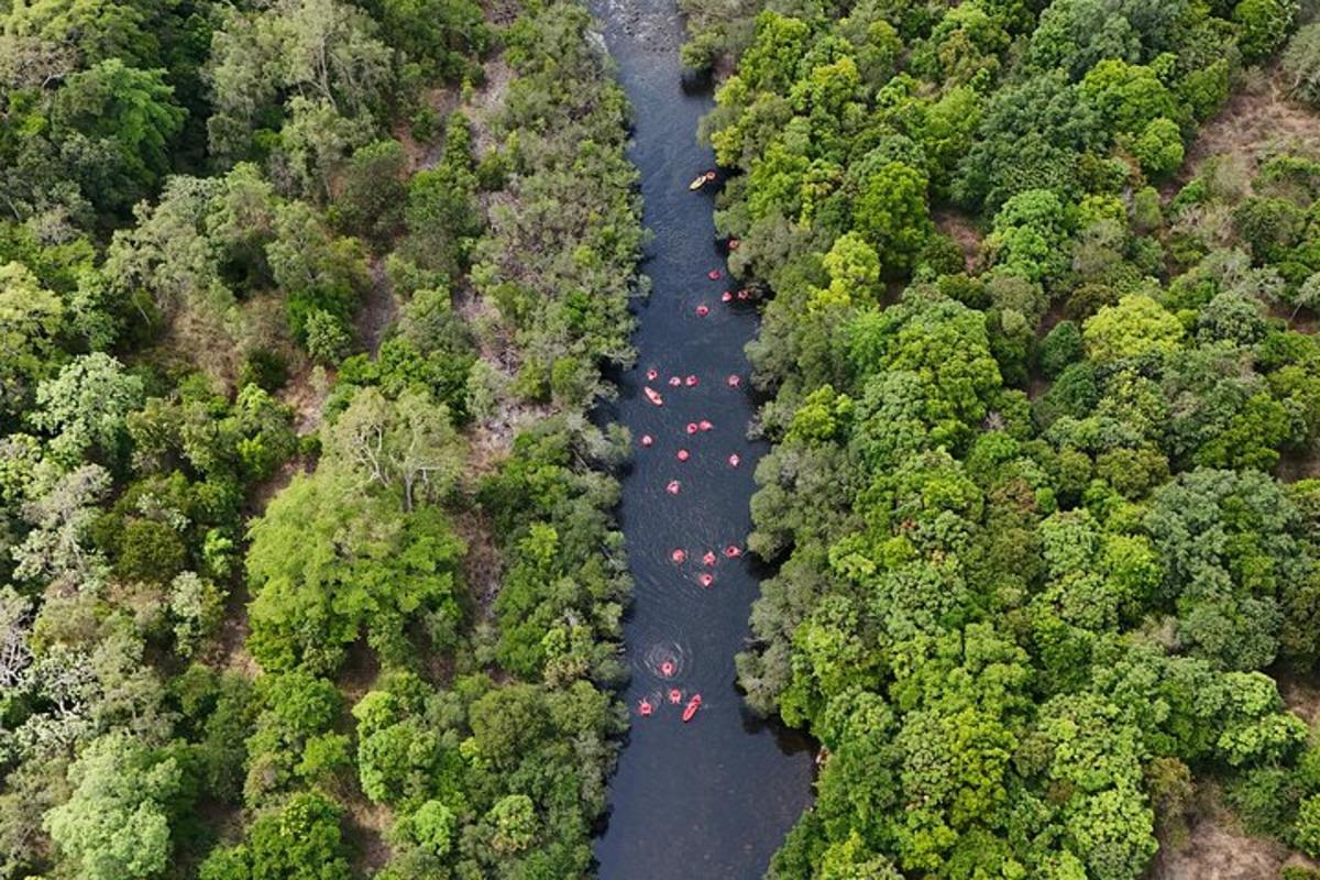 an aerial view of a river in a forest