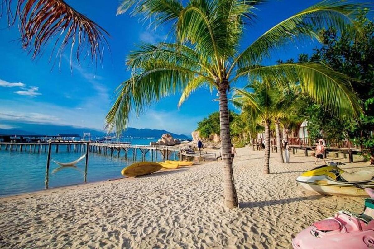 eine Palme an einem Sandstrand neben dem Wasser