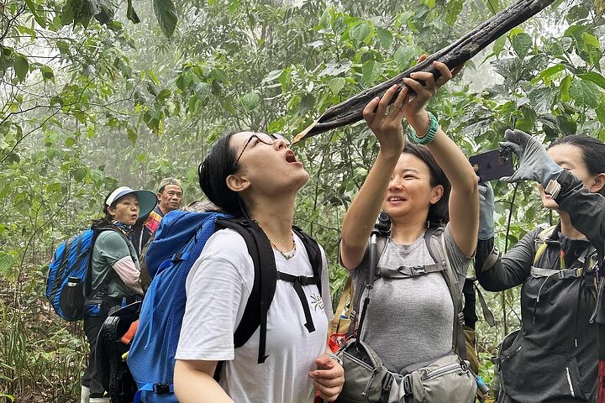 a woman is holding up a stick in the jungle