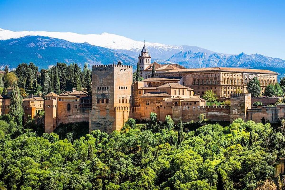 a large castle in the middle of trees with mountains
