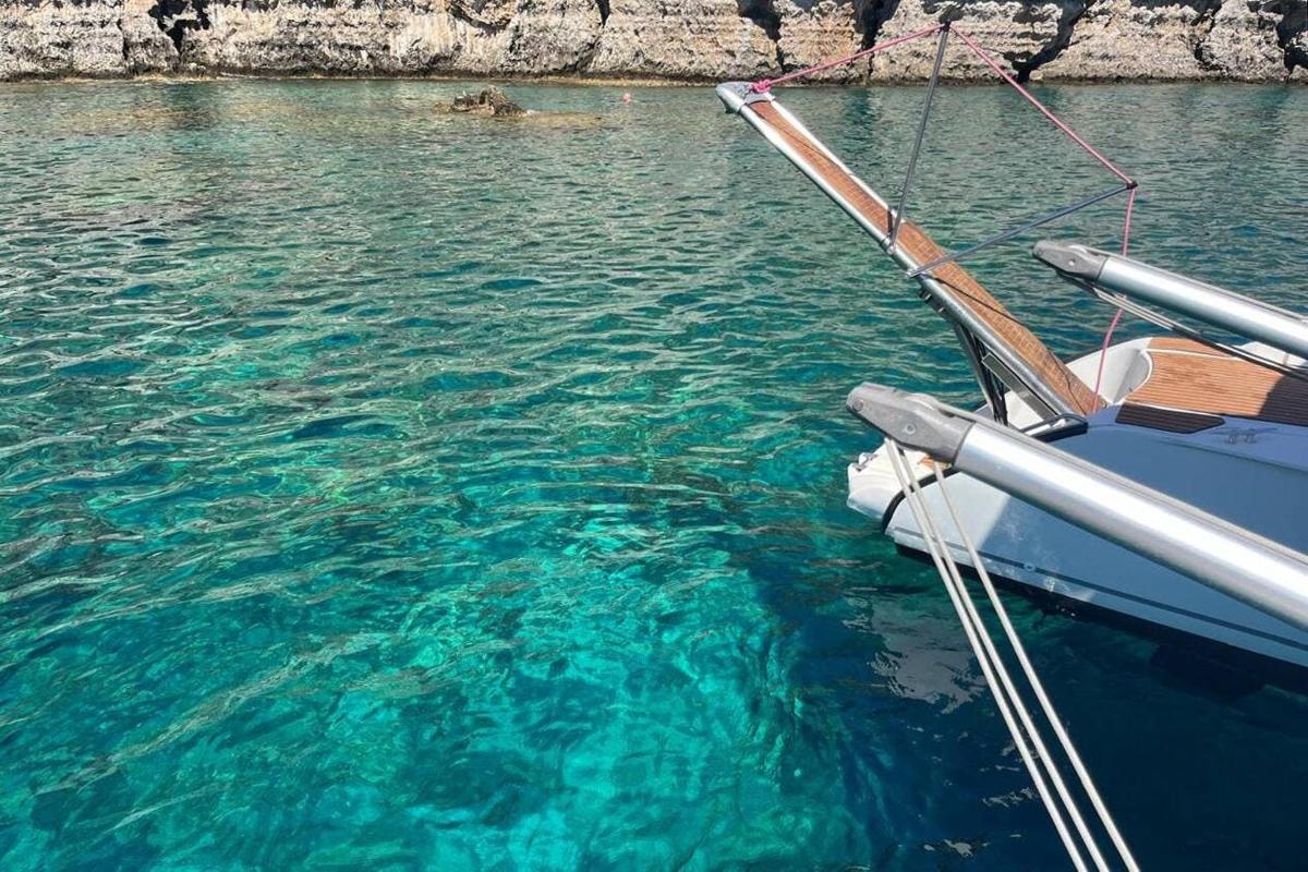 una barca in acqua con un cane in acqua