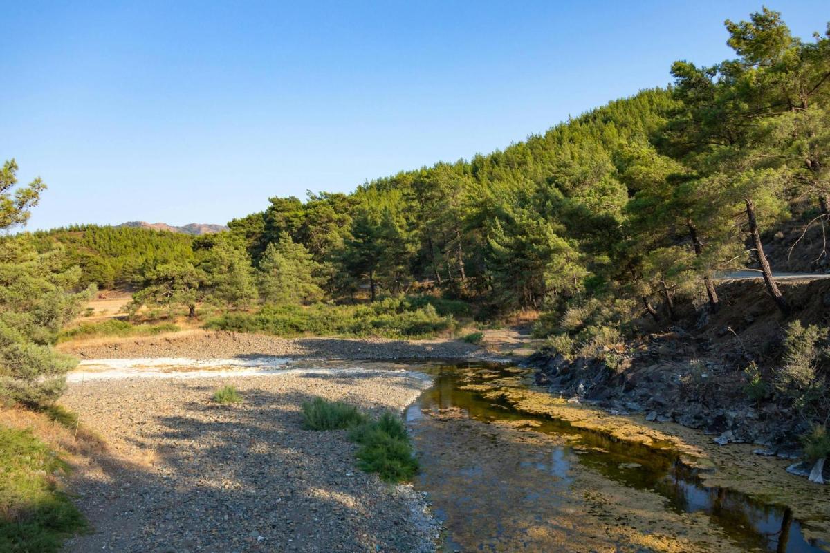 un riu al mig d'un turó amb arbres