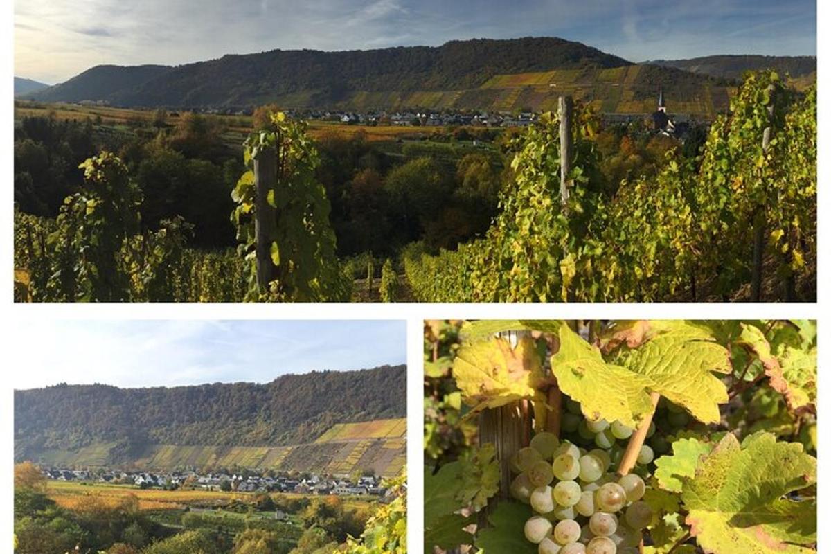a collage of three pictures of a bunch of grapes