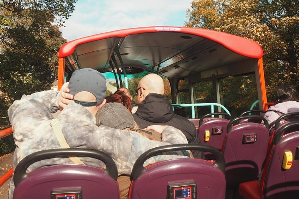 Attraction picture 5