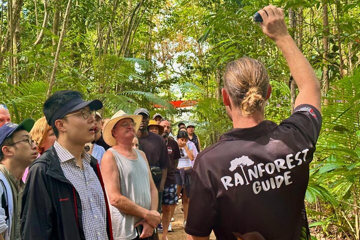 sekumpulan orang berdiri di dalam hutan
