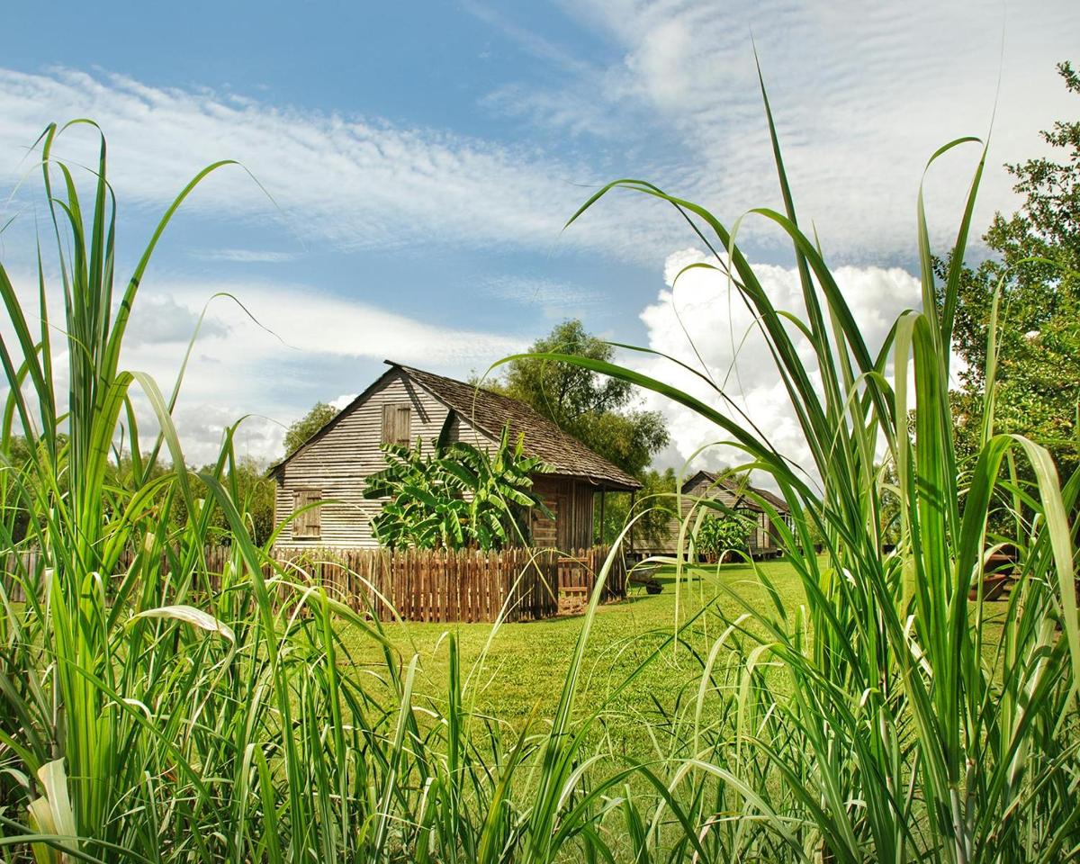 una vecchia casa in un campo con erba alta
