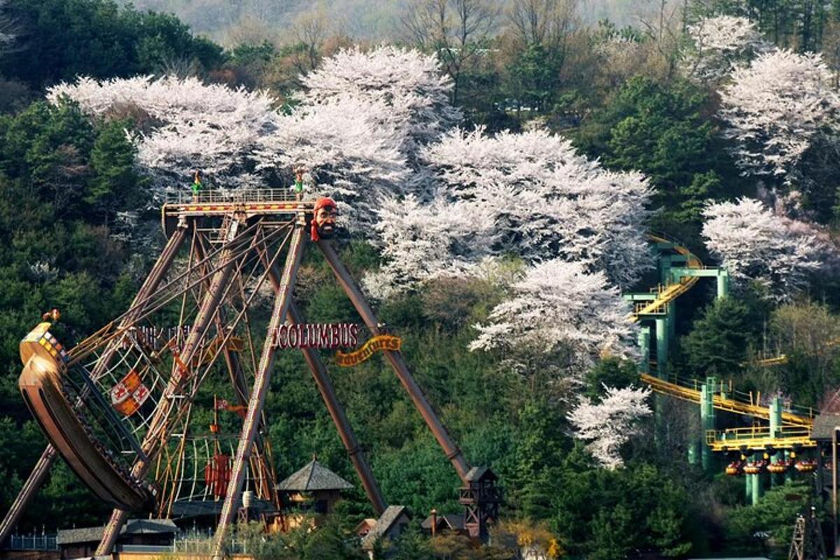 a roller coaster with white trees in the background