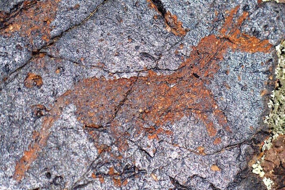 a close up of a rock with rust on it