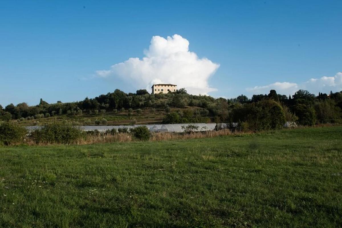hrad na vrcholu kopce v poli