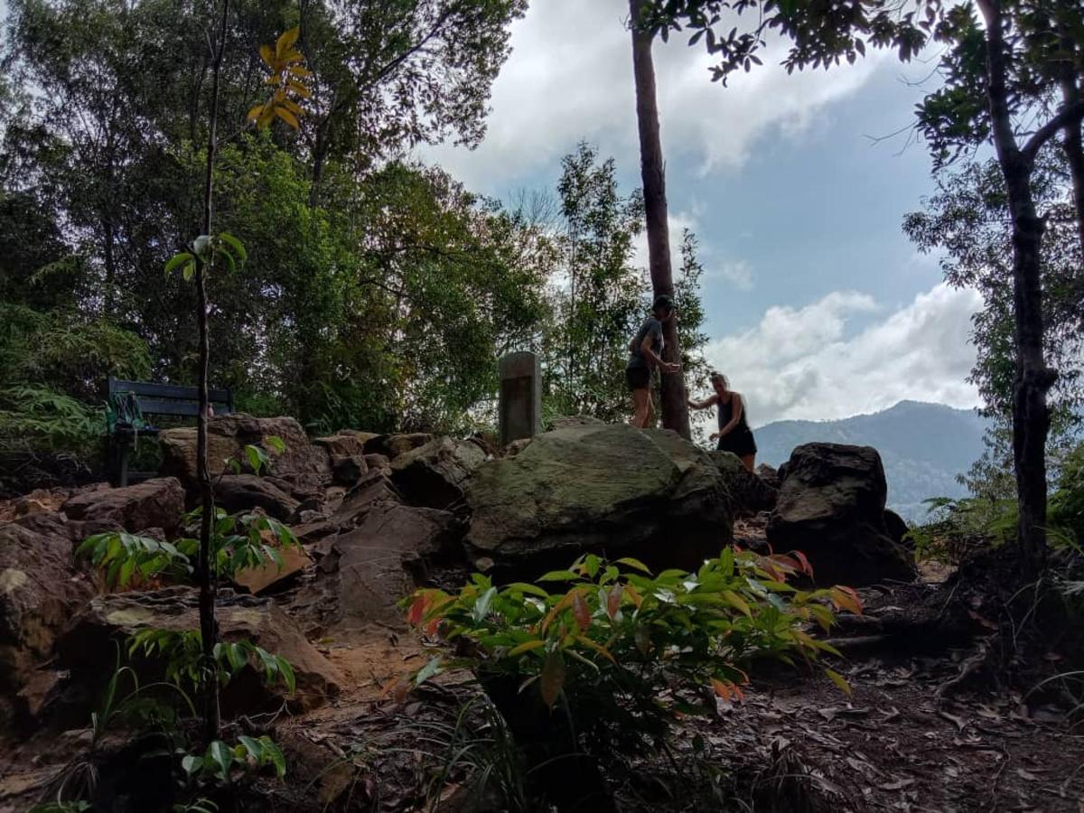two people standing on a rock in a forest
