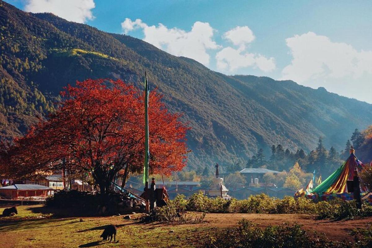 a red tree in a field with a mountain