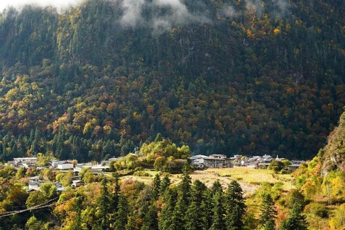 a town in the middle of a mountain with trees