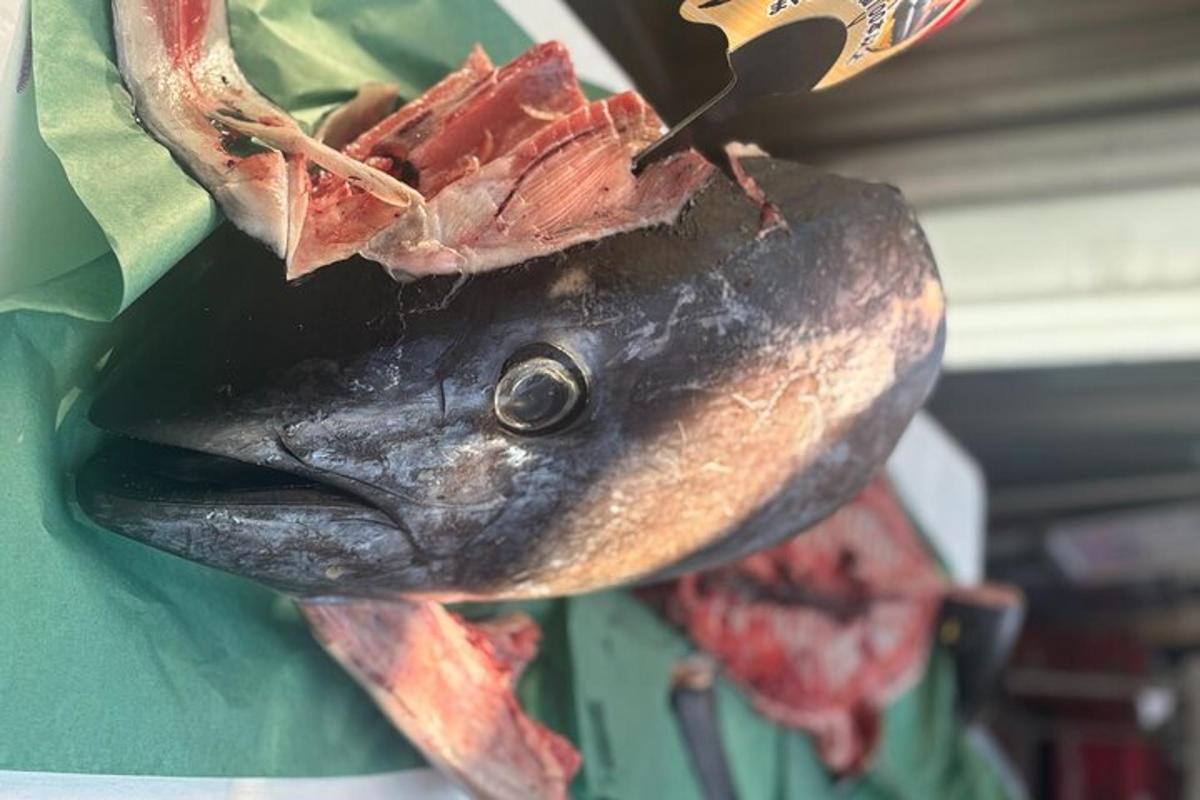 fiskur með kjötbita ofan á sér