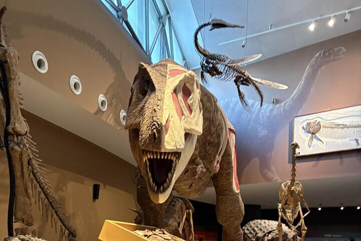 a dinosaur exhibit in a museum with a dinosaur skeleton