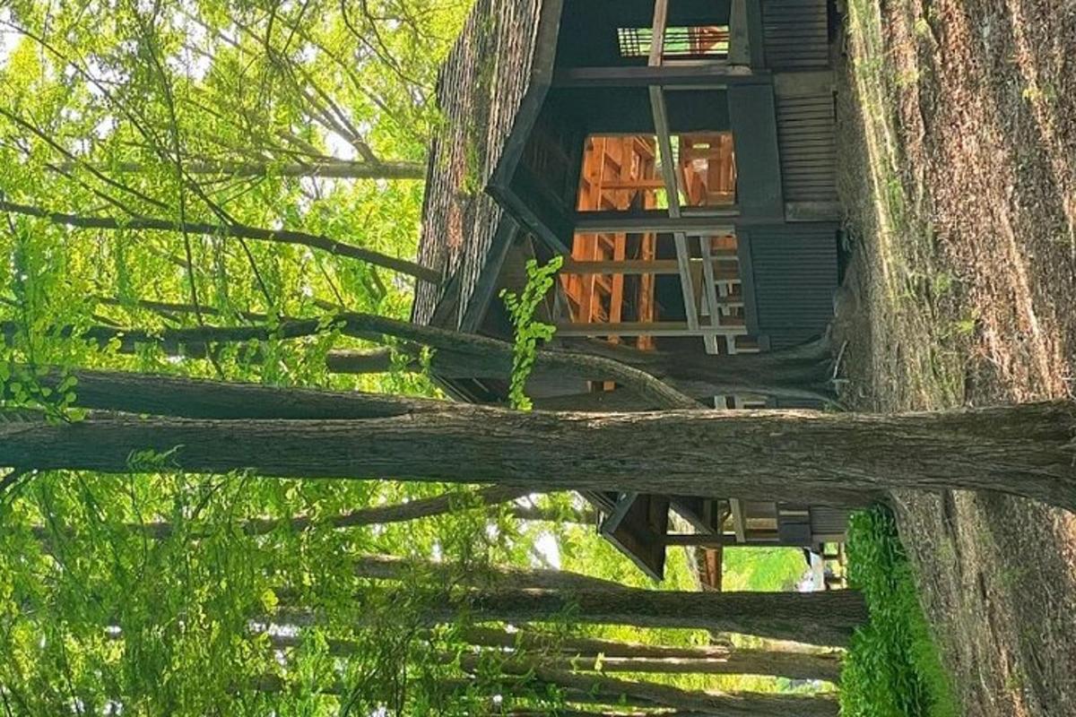 ein aus einem Baumstamm gebautes Baumhaus
