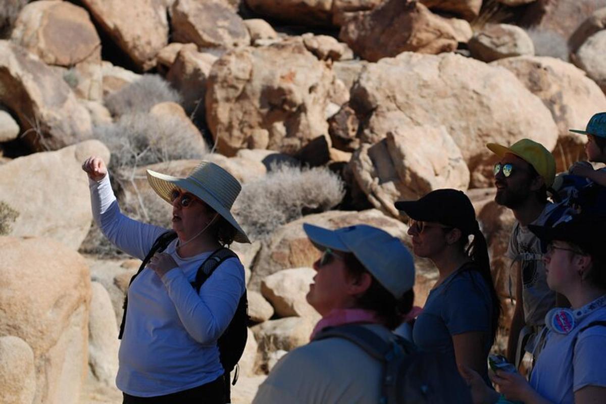 a group of people standing next to some rocks