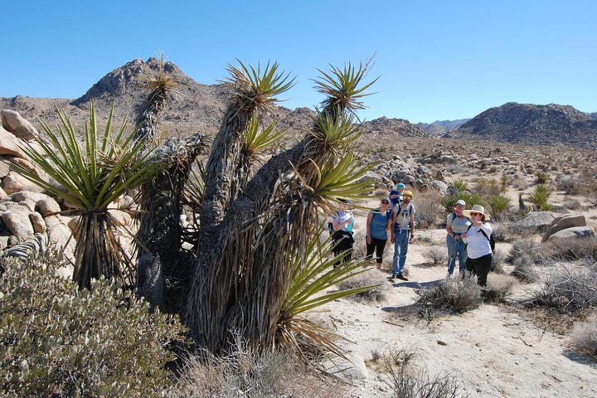 a group of people walking on a trail in the desert