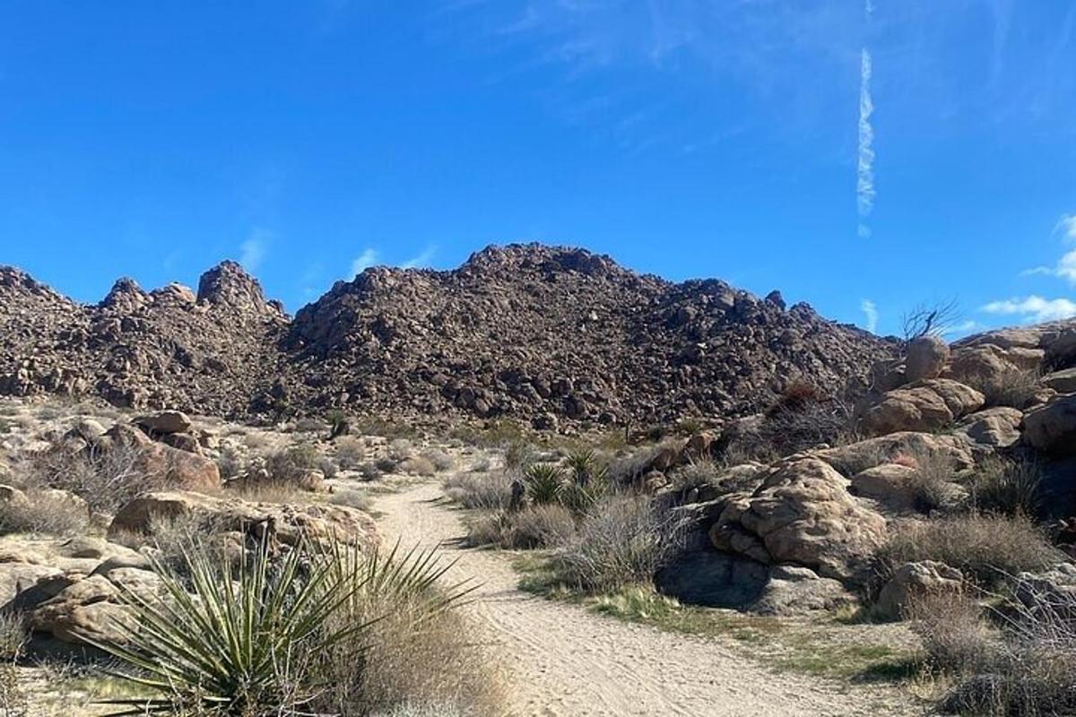 a dirt road in a desert with rocky mountains