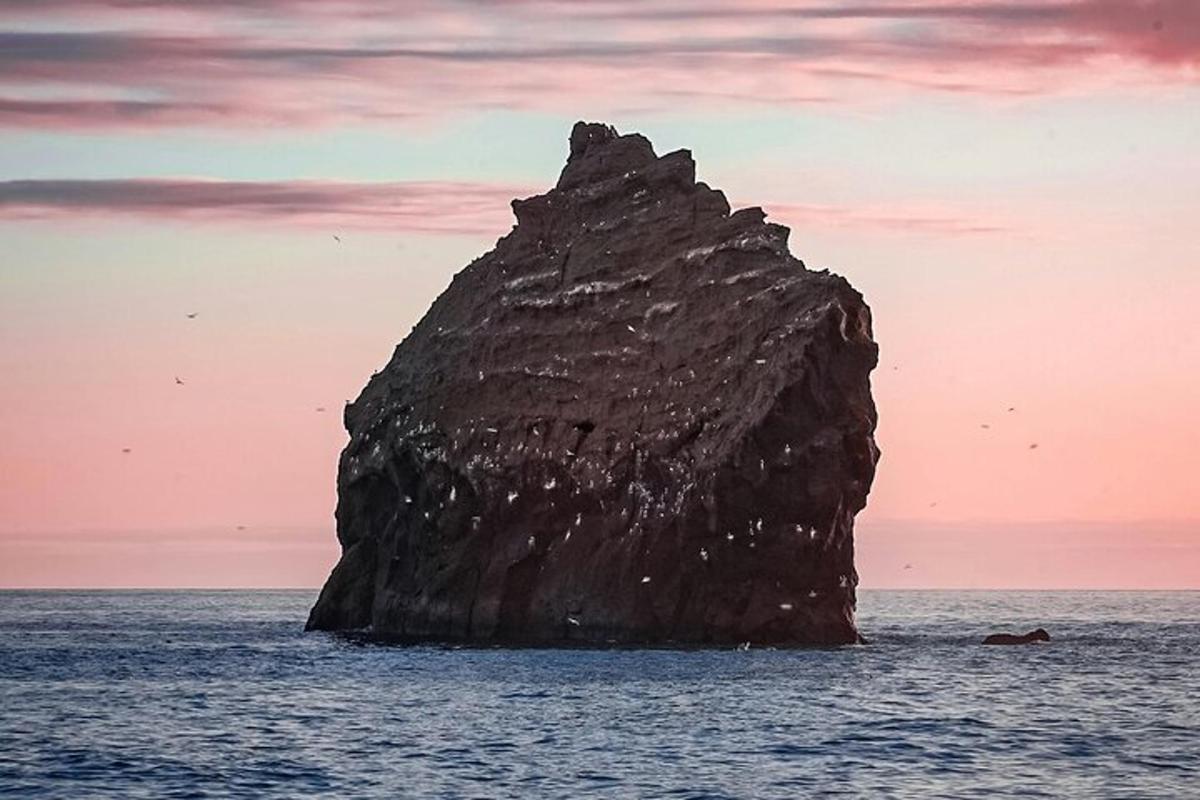 batu besar di lautan dengan warna merah jambu