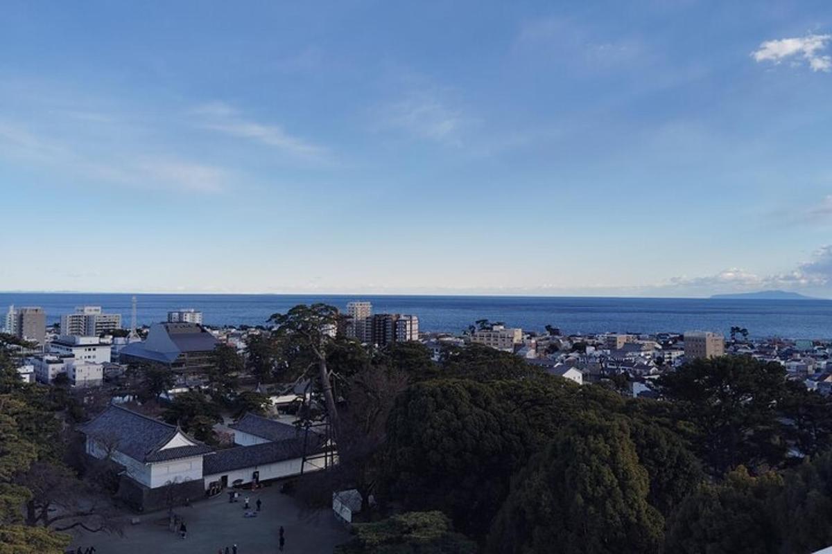 an aerial view of a city and the ocean
