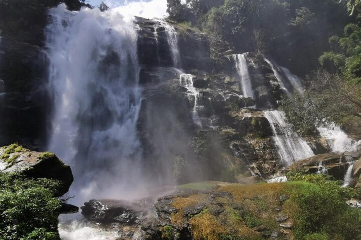 una cascata in mezzo a una foresta