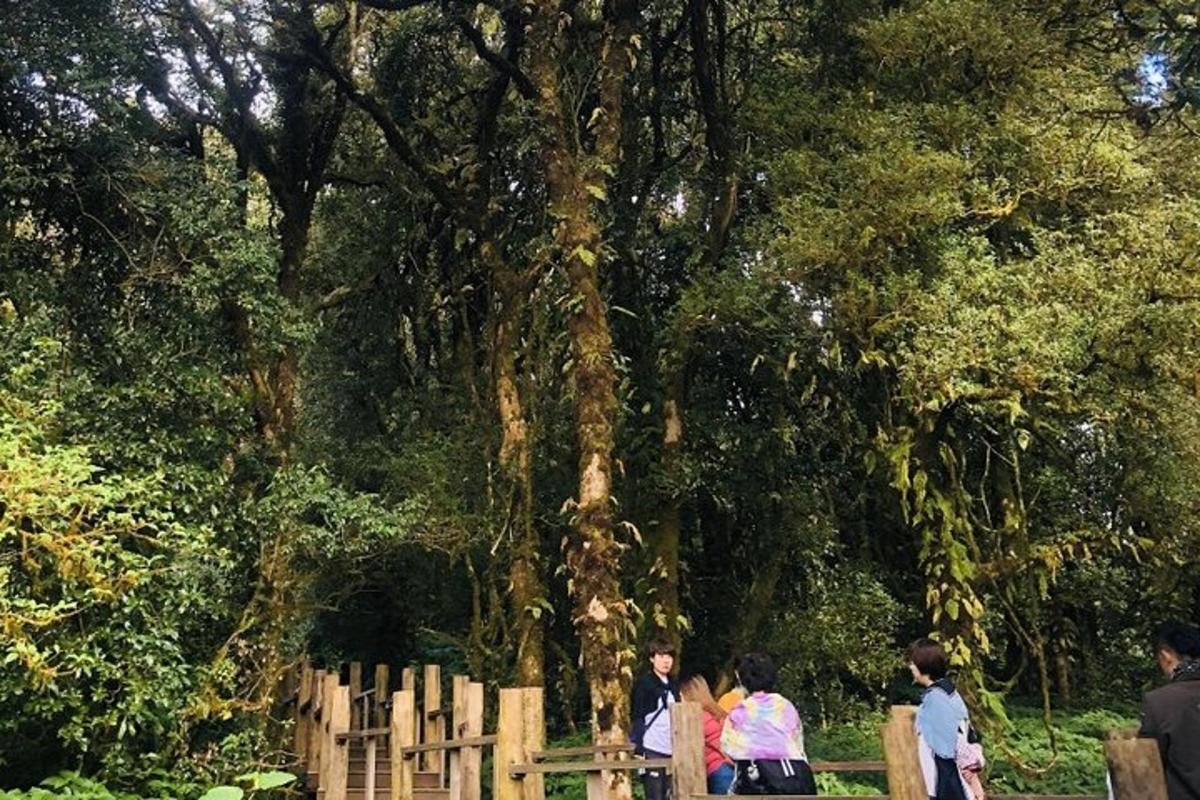 un gruppo di persone in piedi sotto un grande albero