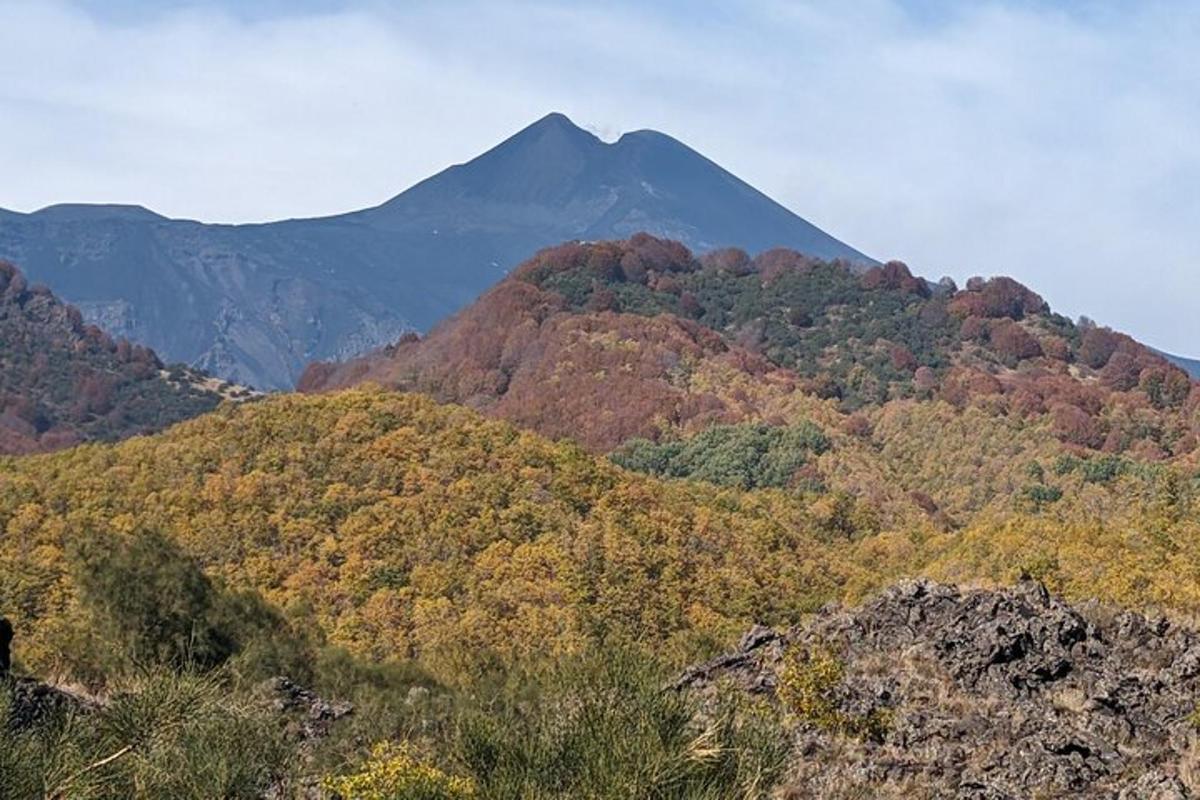 una montagna coperta di alberi con una montagna sullo sfondo