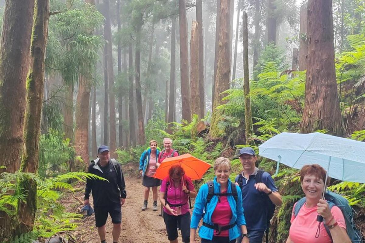 sekumpulan orang berjalan di atas denai di dalam hutan