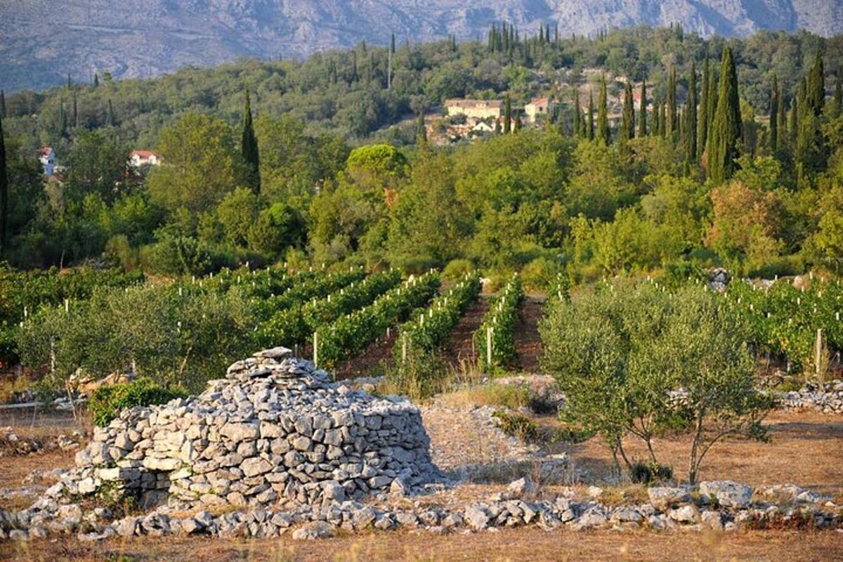 un edificio in pietra su un campo con un vigneto