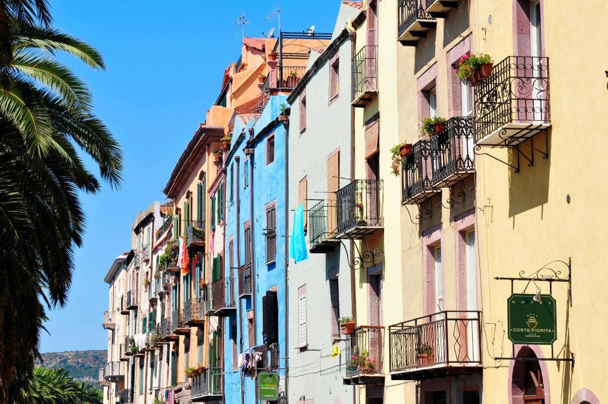 a row of buildings on a street with a palm tree
