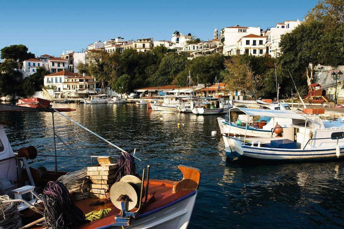a group of boats are docked in a harbor