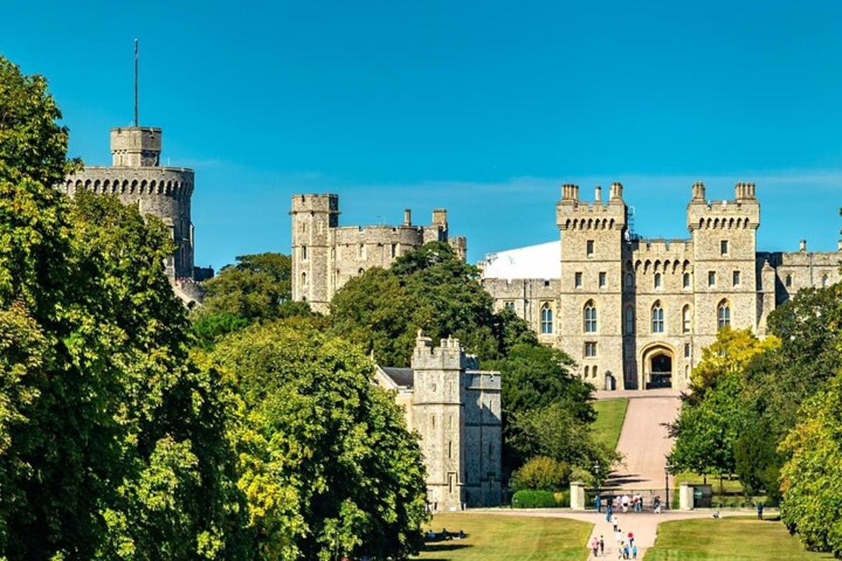 um castelo com árvores na frente