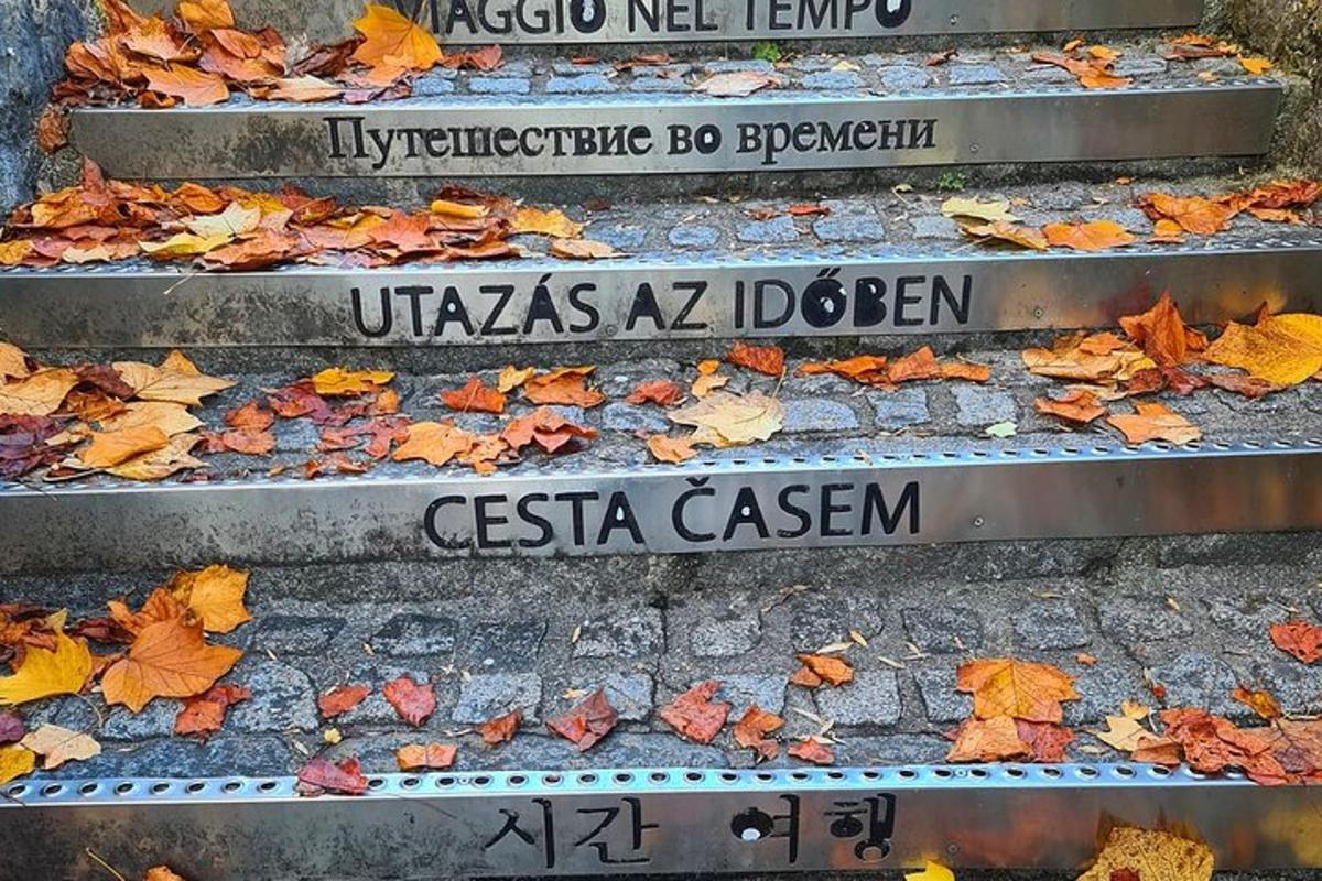 čtyři kroky s podzimním listím na zemi