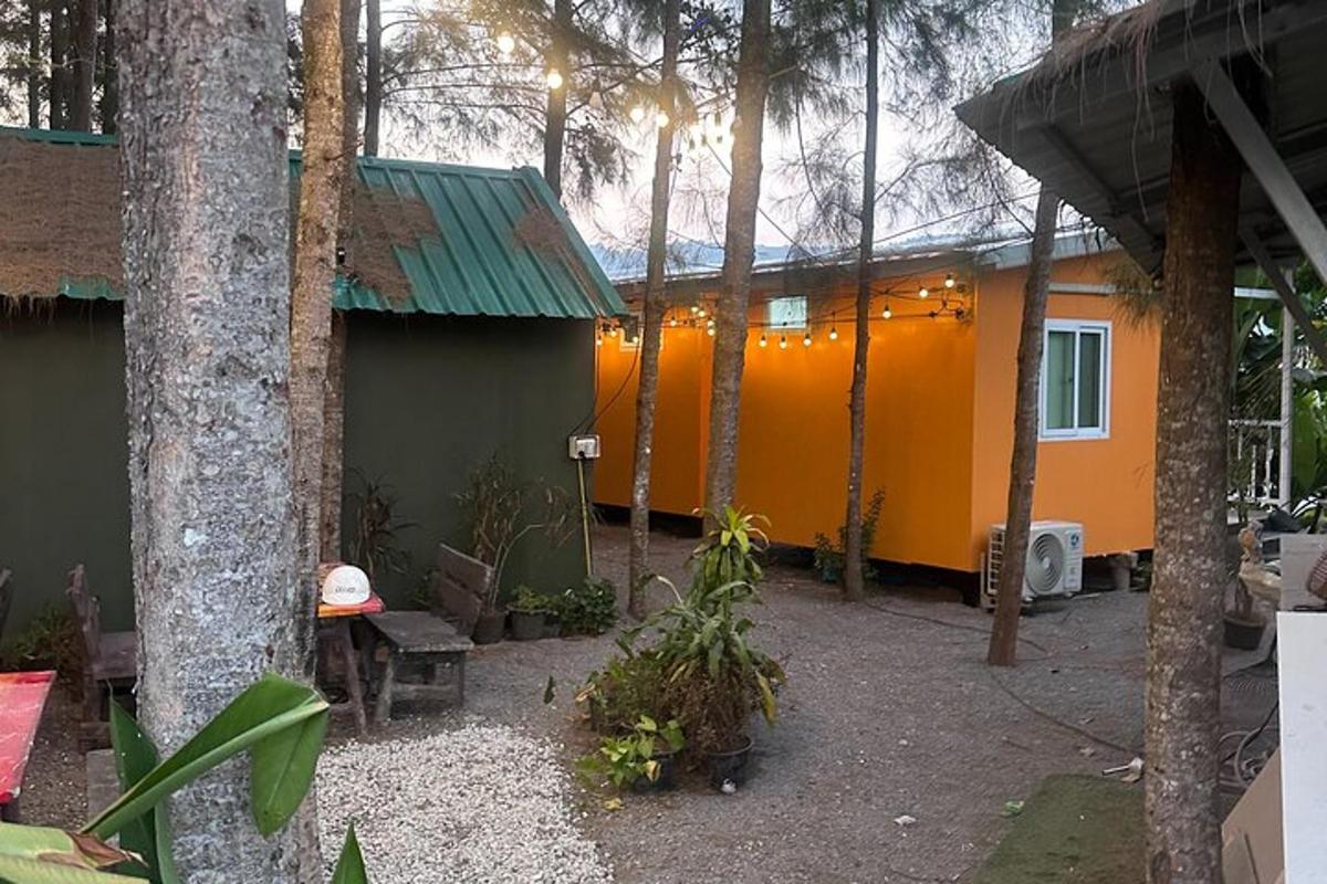 sebuah rumah oren dan hijau di tengah-tengah hutan