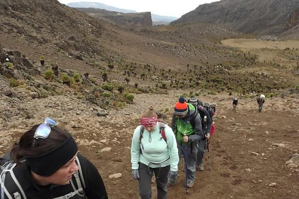 un gruppo di persone che camminano su un sentiero di montagna