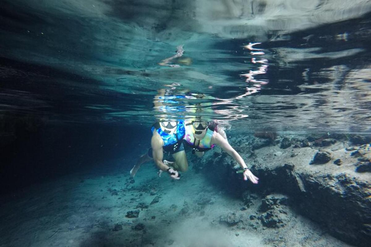 seseorang yang berenang di dalam air di lautan