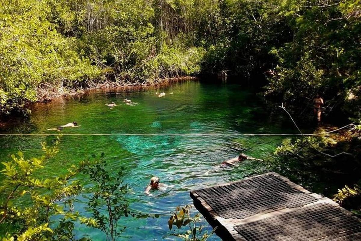 sekumpulan orang berenang di sungai