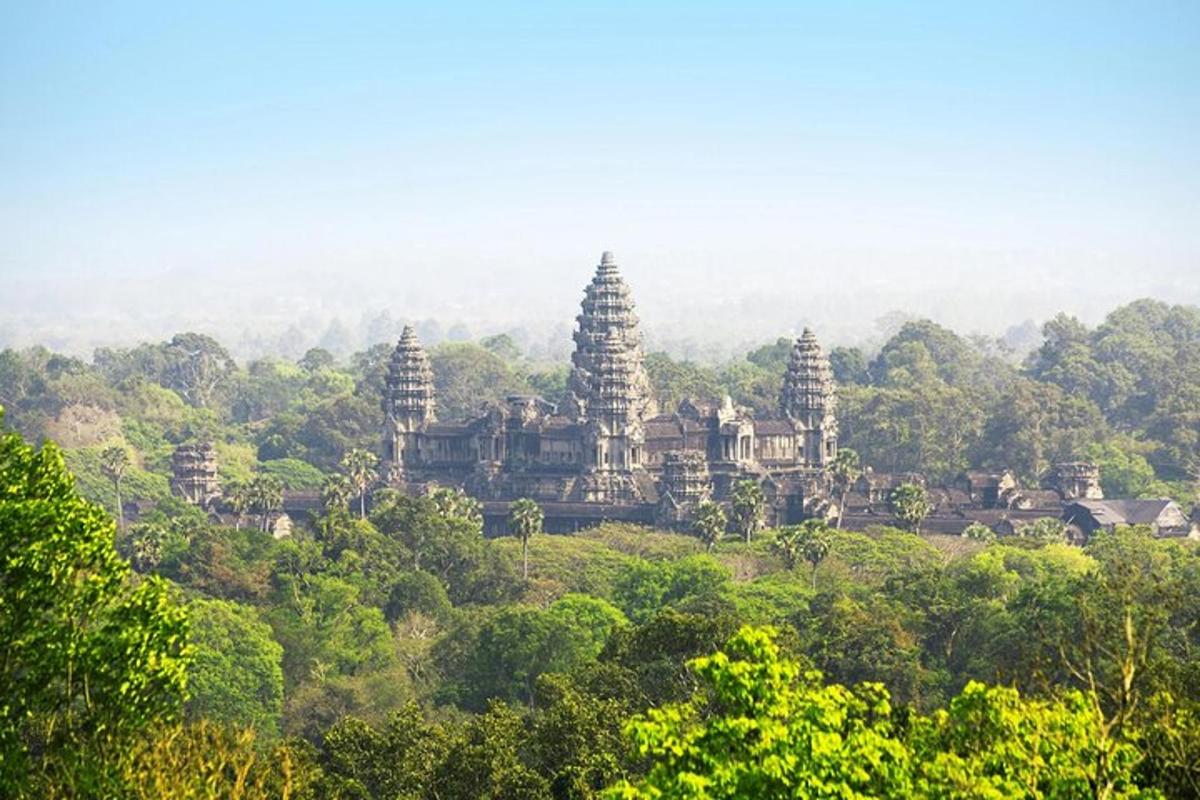 Pohled na chrámy Angkor Watu ze stromů