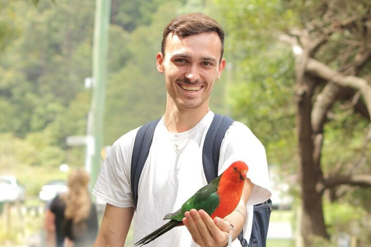 a man holding a colorful bird in his hand