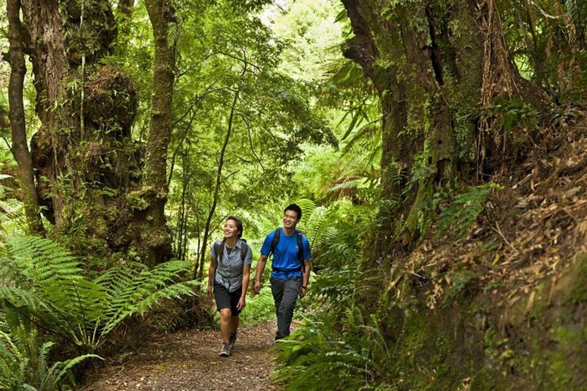 a man and woman walking down a trail in a forest