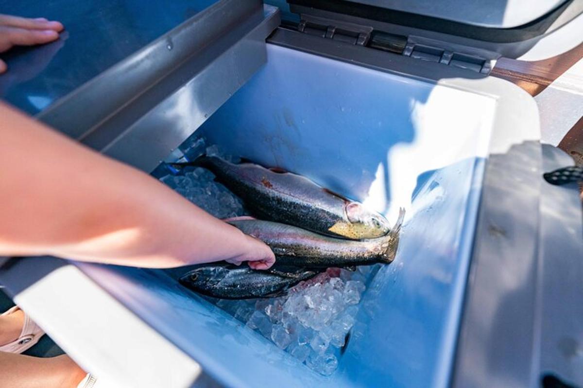 a person is cooking some fish in a cooler