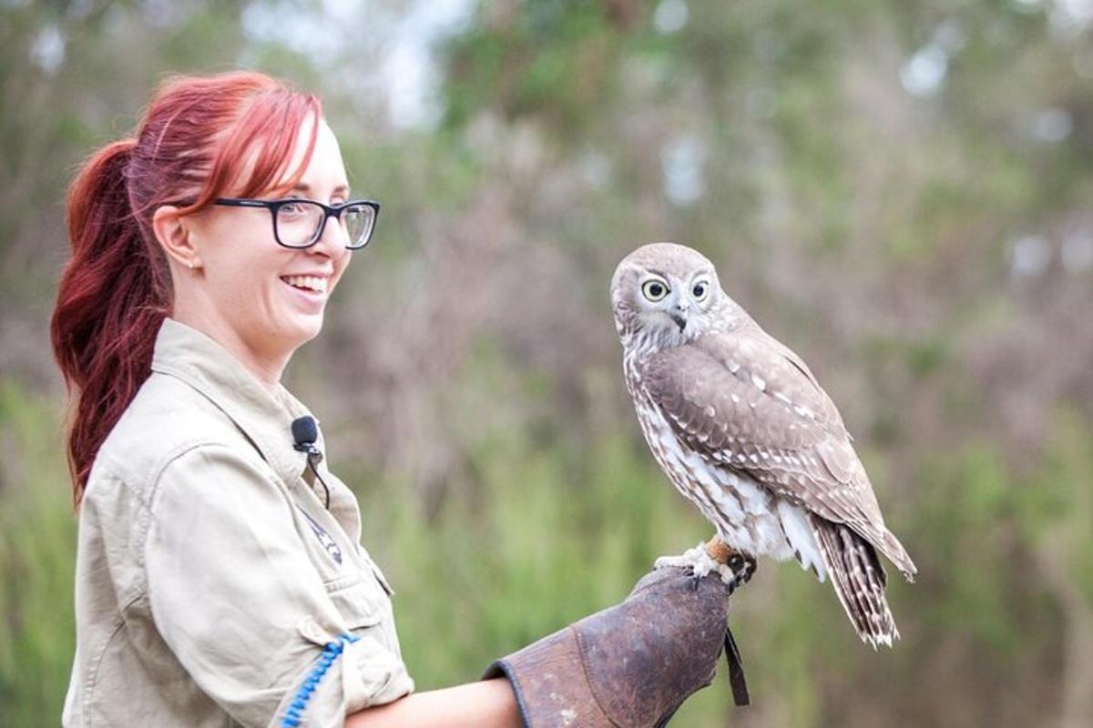 a woman with red hair holding a bird on her hand