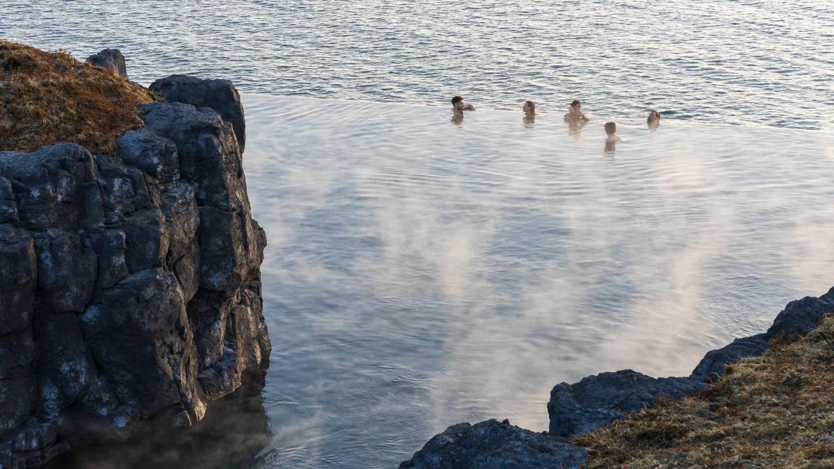 sekumpulan orang yang berenang di dalam badan air