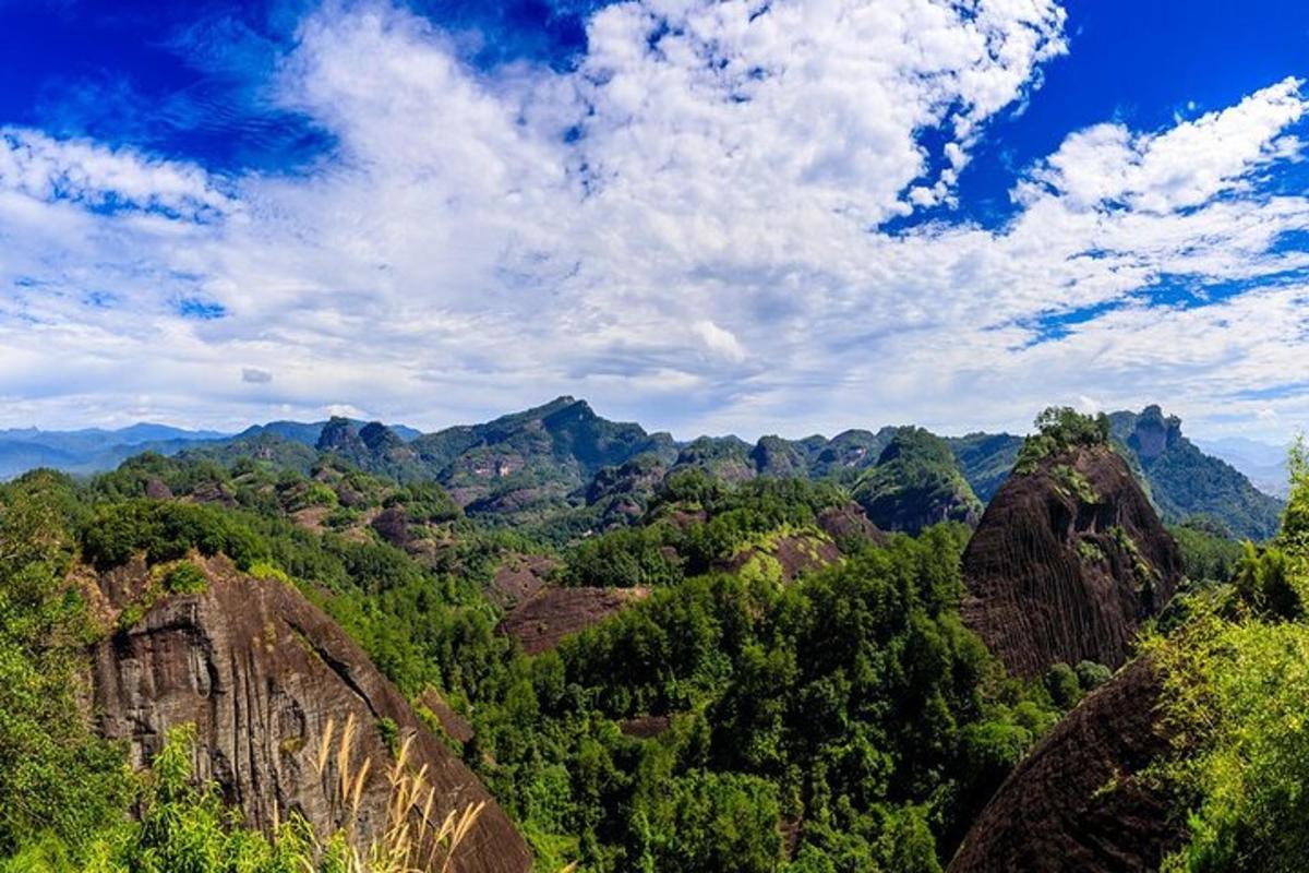 una vista di un canyon con alberi e montagne