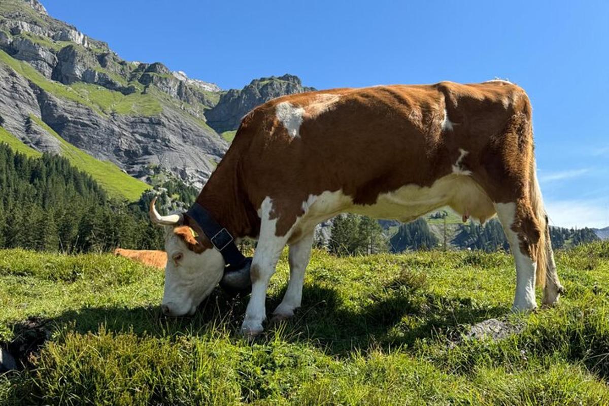 Bild 4 von der Attraktion
