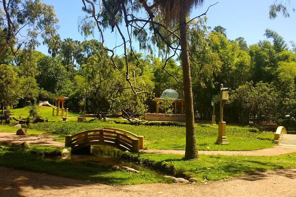 a wooden bridge over a creek in a park