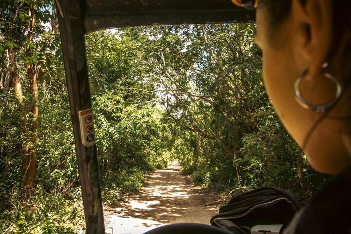 una dona que viatja en autobús per un camí de terra