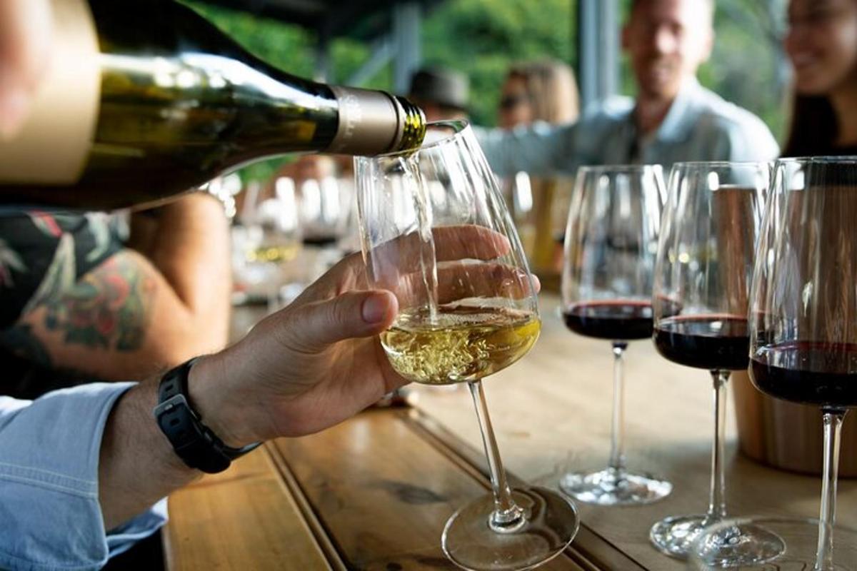 o persoană care își toarnă un pahar de vin alb