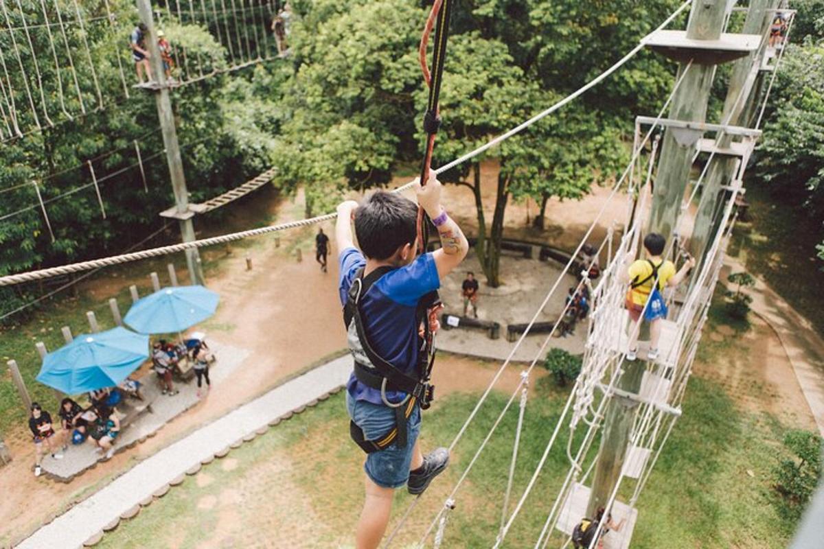 một người đàn ông trên đường trượt zipline trong công viên